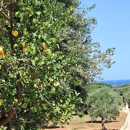 Il Pomo Bianco * Monopoli