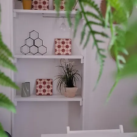 Il Pomo Bianco Appartement *