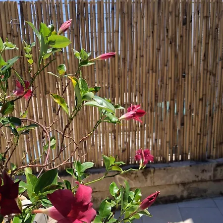 Appartement Il Pomo Bianco Monopoli